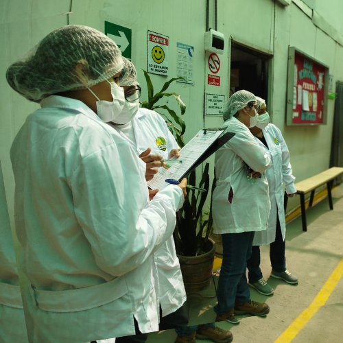 INSPECTION QUALITY STANDARDS – Empresa global, dedicada a la auditoría ...